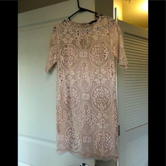 Zara Dresses & Skirts - Lace Blush Short Sleeve Dress Zara Dresses & Skirts - Lace Blush Short Sleeve Dress